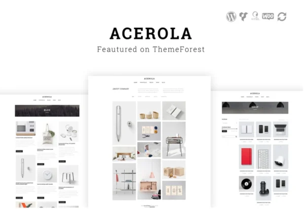 acerola-ultra-minimalist-agency-wordpress-theme