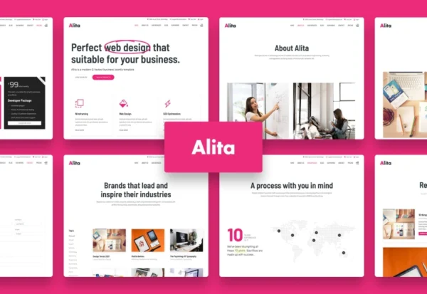 alita-web-studio-wordpress-theme-2