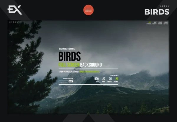 birds-responsive-coming-soon-page-2