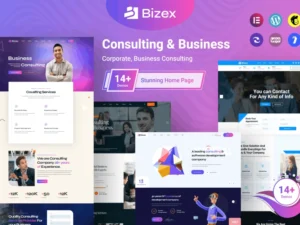 bizex-business-consulting-wordpress-theme