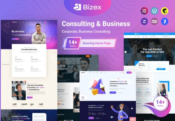 bizex-business-consulting-wordpress-theme