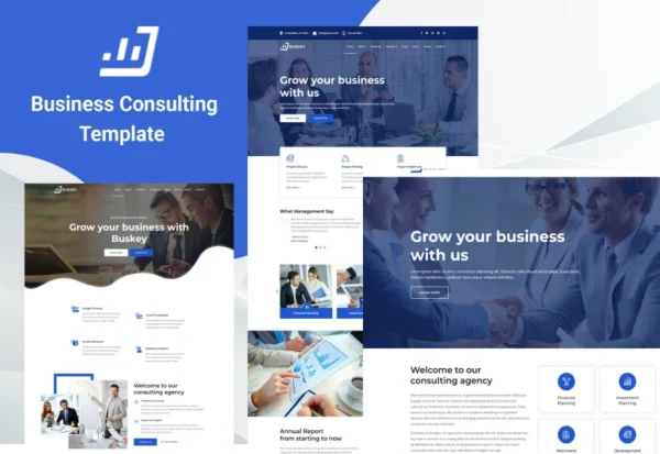 buskey-business-consulting-corporate-template-2