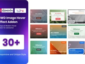 bwd-image-hover-effect-addon-for-elementor