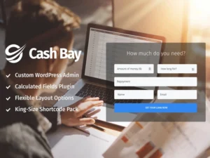 cash-bay-loan-credit-money-wp-theme