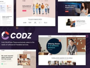 codz-software-it-services-theme