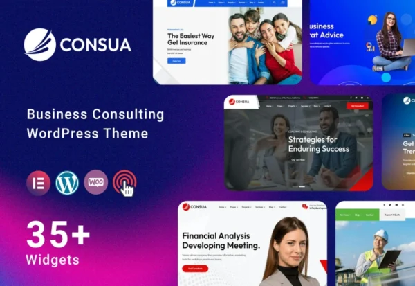 consua-business-consulting-wordpress