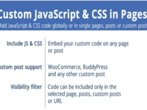 custom-javascript-css-pages