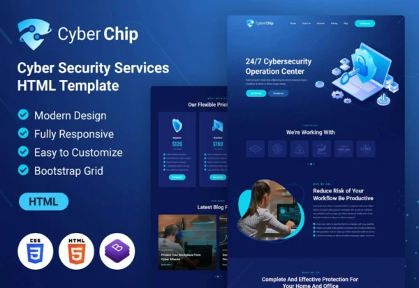 cyberchip-web-security-html