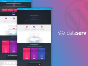 dataserv-professional-hosting-wordpress-theme-2