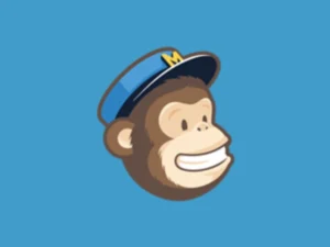 download-monitor-mailchimp-lock