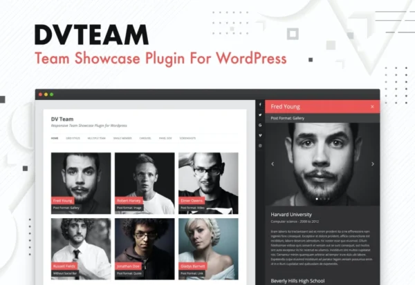 dv-team-team-showcase-plugin-for-wordpress