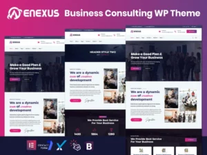 enexus-consulting-business-elementor-wordpress