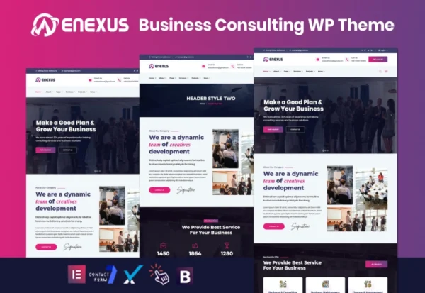 enexus-consulting-business-elementor-wordpress