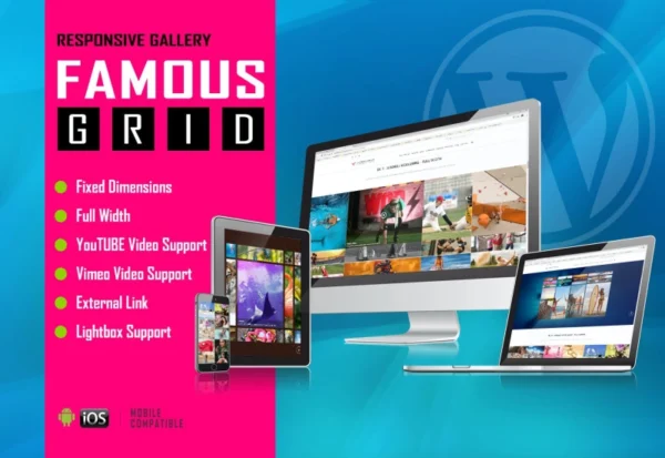 famous-responsive-image-and-video-grid-gallery