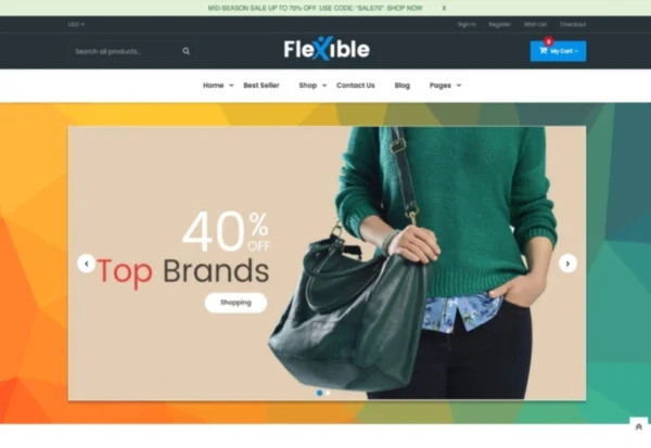 flexible-multi-store-section-shopify-theme