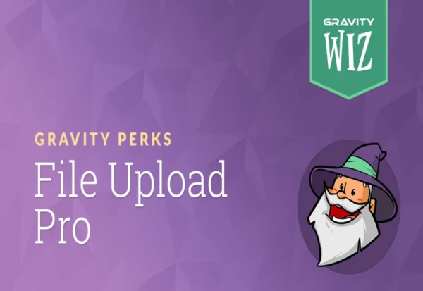 gravity-forms-file-upload-pro