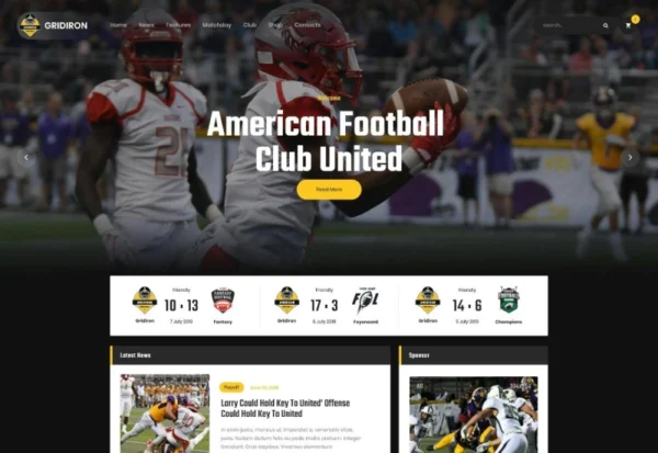 gridiron-american-football-nfl-team-wordpress