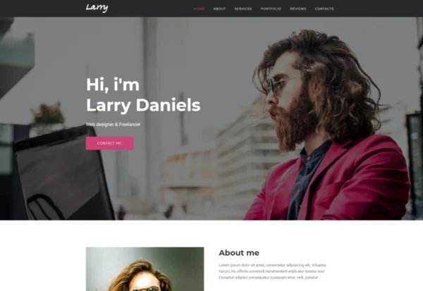 larry-personal-wordpress-theme