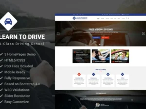 learntodrive-driving-school-lessons-template