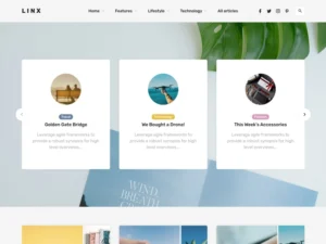 linx-wordpress-blog-magazine-theme