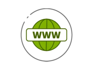 mainwp-domain-monitor-extension