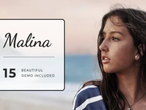 malina-personal-wordpress-blog-theme