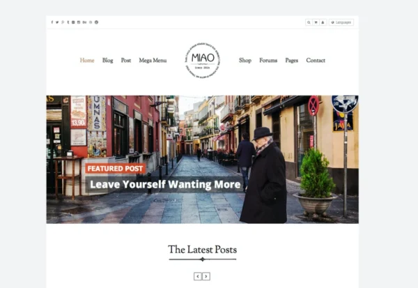 miao-clean-blog-shop-wordpress-theme