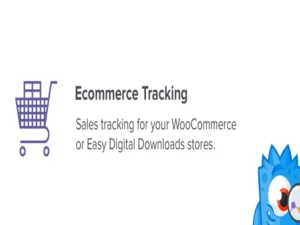 monsterinsights-ecommerce-addon