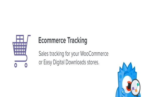 monsterinsights-ecommerce-addon