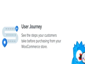 monsterinsights-user-journey