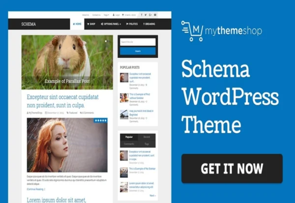 mythemeshop-beauty-wordpress-theme