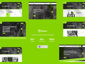 nahla-business-consulting-html-template-2