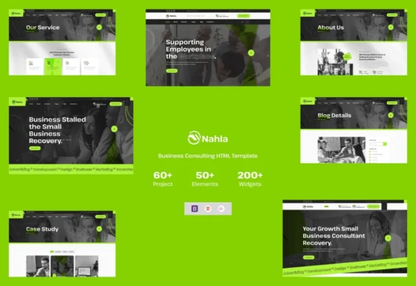 nahla-business-consulting-html-template-2