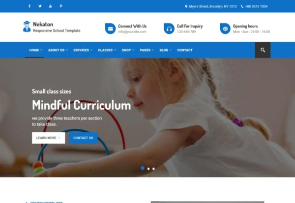 nekaton-responsive-school-kindergarten-templat