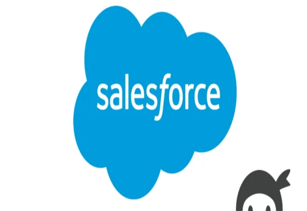 ninja-forms-salesforce-crm