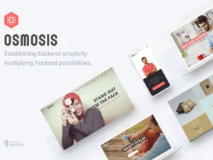 osmosis-responsive-multipurpose-wordpress-theme