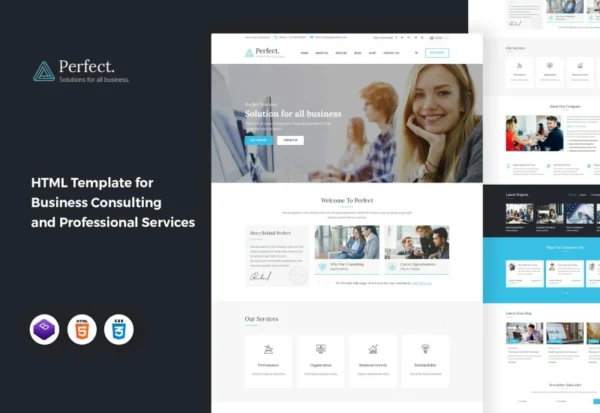 perfect-business-consulting-html-template-2