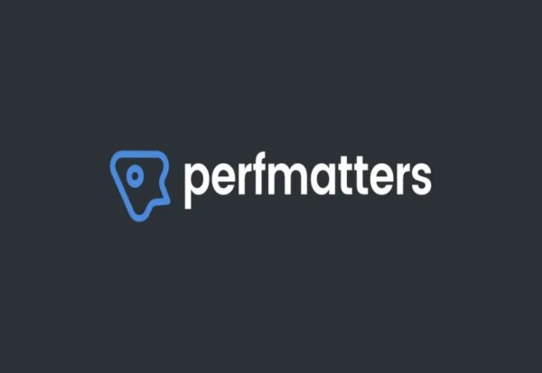 perfmatters-lightweight-wordpress-performance