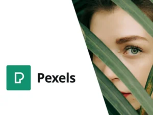 pexels-import-free-stock-images-into-wordpress