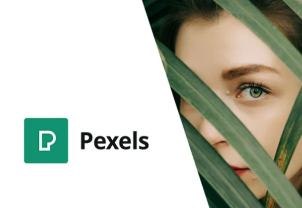 pexels-import-free-stock-images-into-wordpress