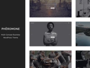 pheromone-creative-multi-concept-wordpress-theme