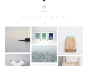 pinecone-creative-portfolio-and-blog-for-agency