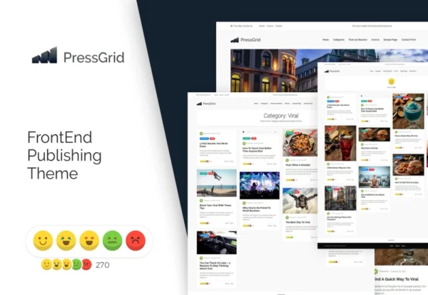 pressgrid-frontend-publish-reaction-multimedia-2