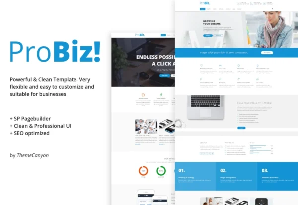 probiz-creative-multipurpose-business-template