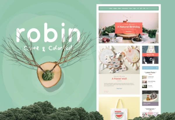 robin-cute-colorful-blog-theme-2