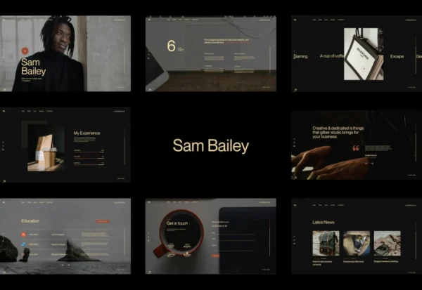 sam-bailey-personal-cv-resume-wordpress-theme