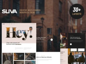 sliva-responsive-multi-purpose-theme