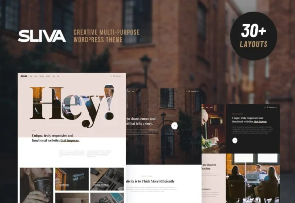 sliva-responsive-multi-purpose-theme