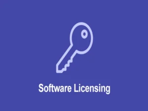 software-licensing