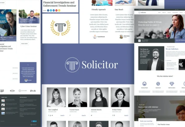 solicitor-law-business-responsive-wordpress-theme-2